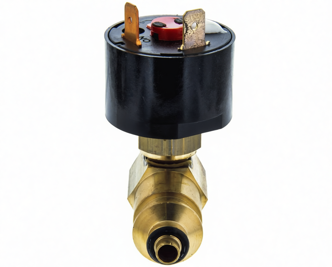 MICROINTERRUPTOR CALDERA SAUNIER - 286.66.0022