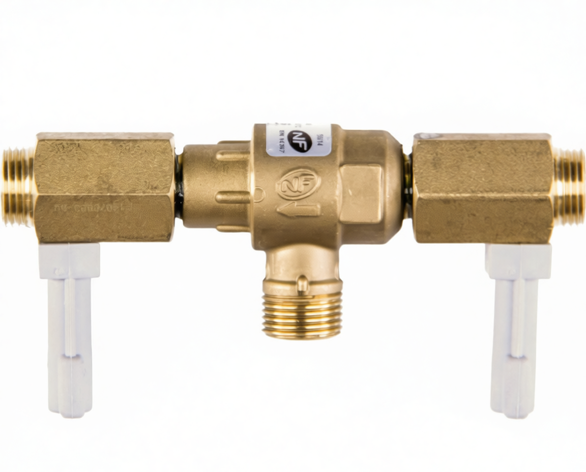 DESCONECTADOR CHAFFOTEAUX 61303319 - 292.31.0026