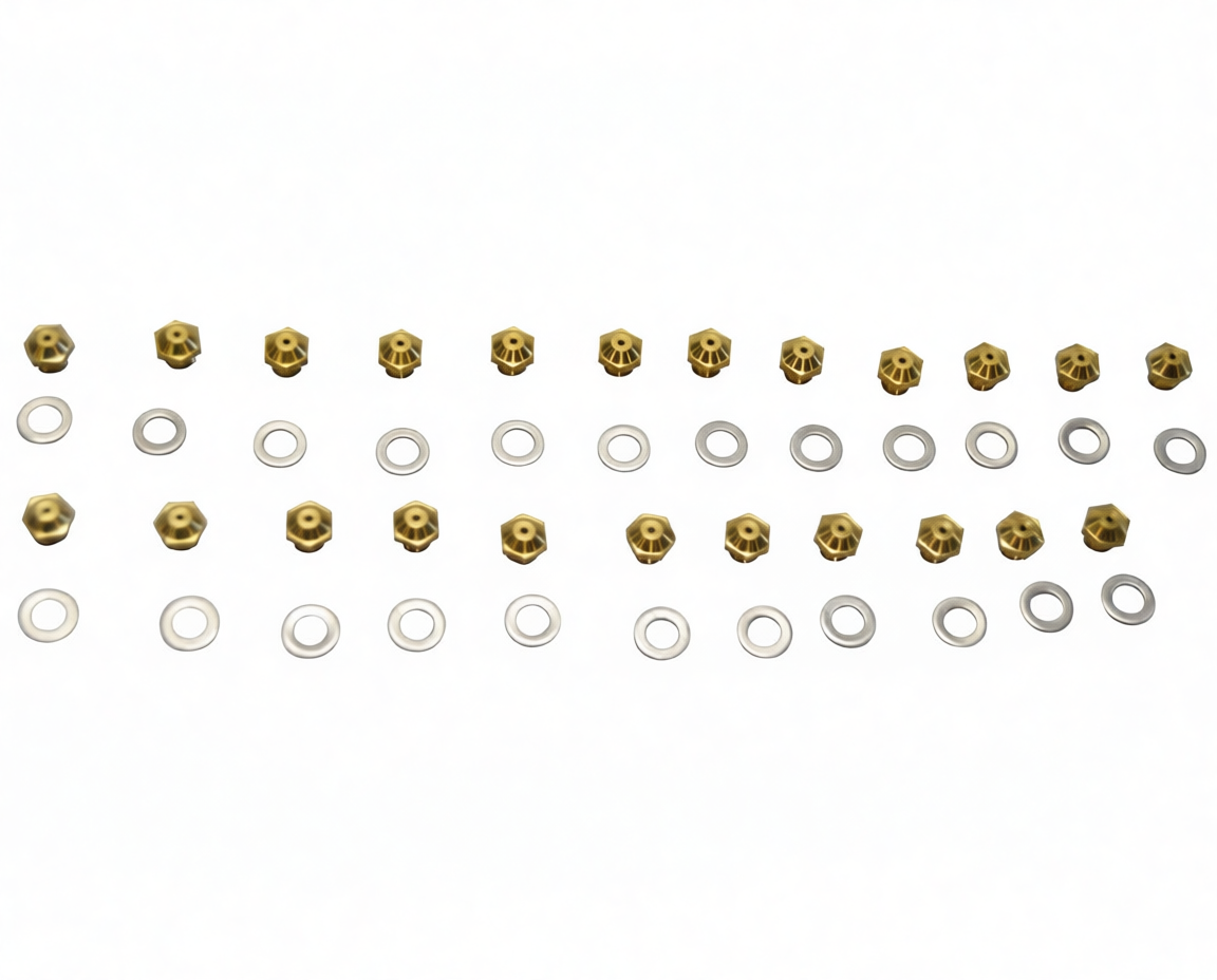 INYECTOR PILOTO CL VAI GN 202096ME - 307.60.0015