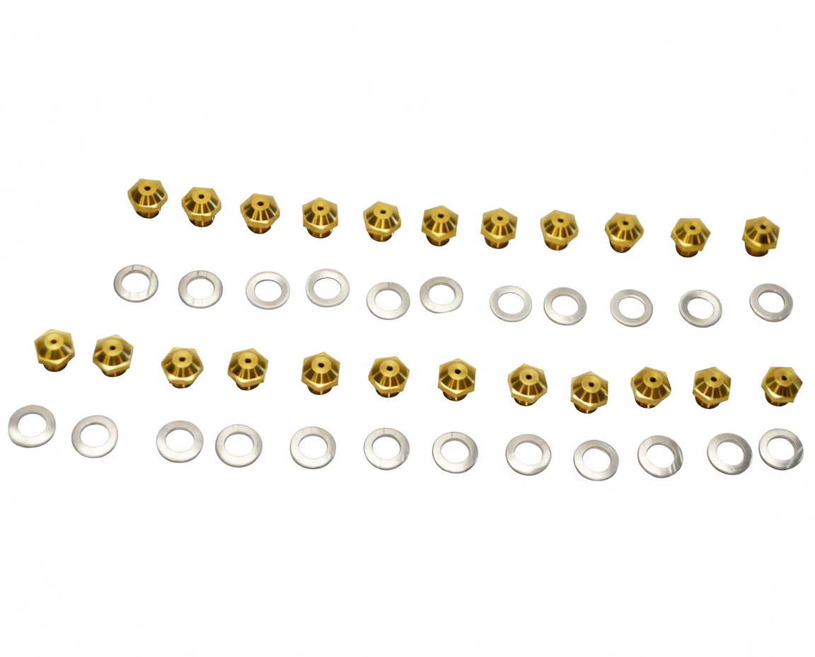 INYECTOR PILOTO CL VAI GN 201996 KIT ME - 307.60.0016