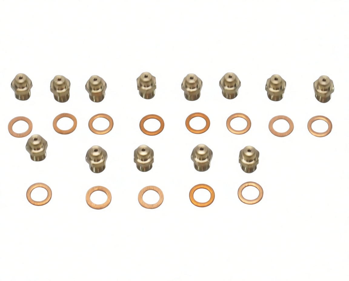 KIT TRANSFORMACION GAS NATURAL 202098 - 308.60.0038