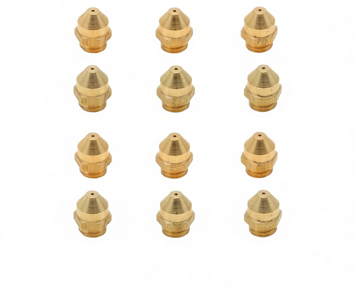 INYECTOR CALENTADOR SAUNIER DUVAL GB - 308.66.1000