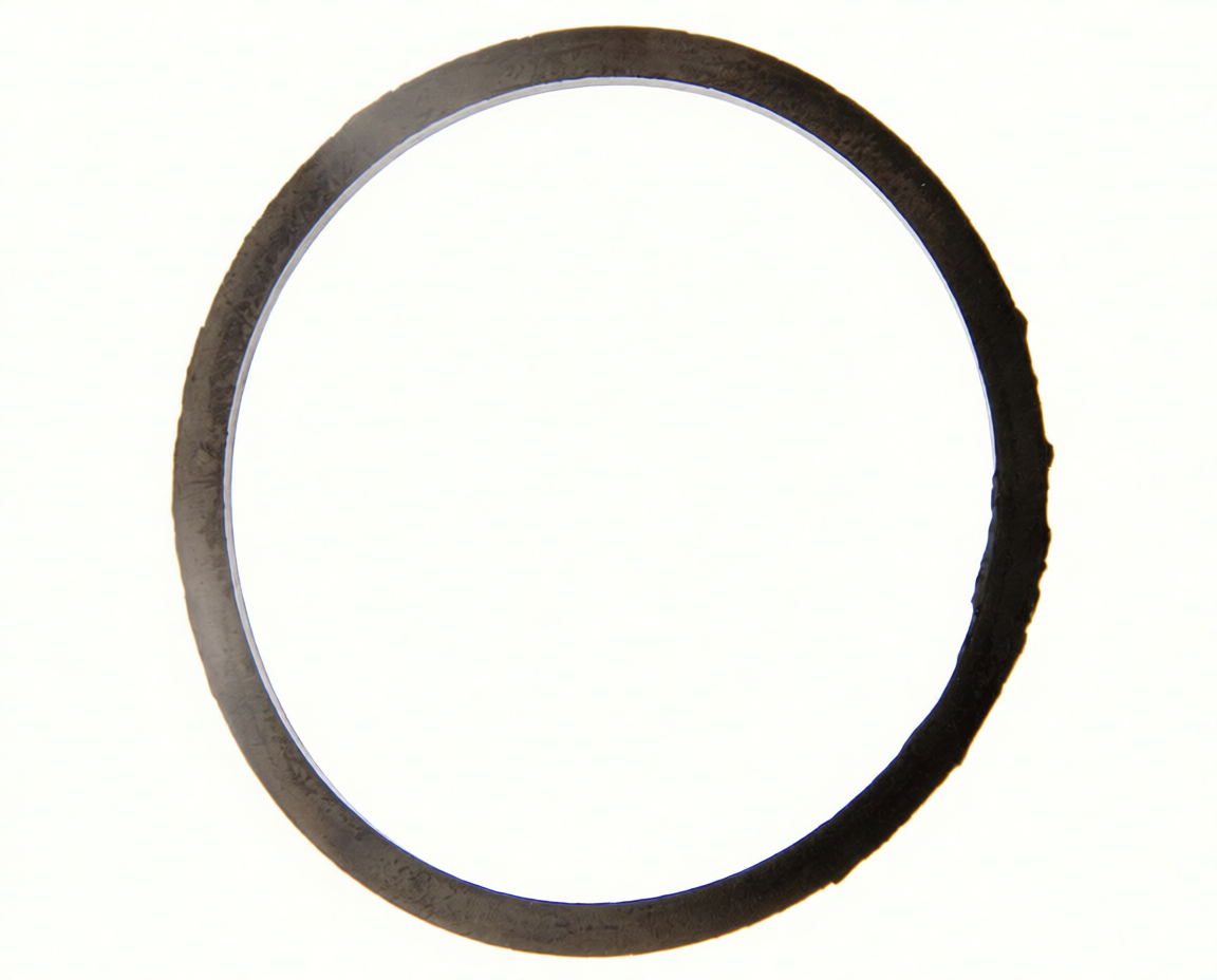 JUNTA PORTA TERMO FAGOR TR50E TE0023300 - 347.34.0001