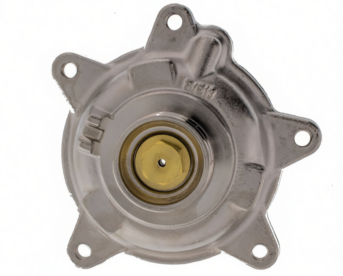 CUERPO AGUA CALDERA TAPA VAILLANT 013061 - 365.60.0100