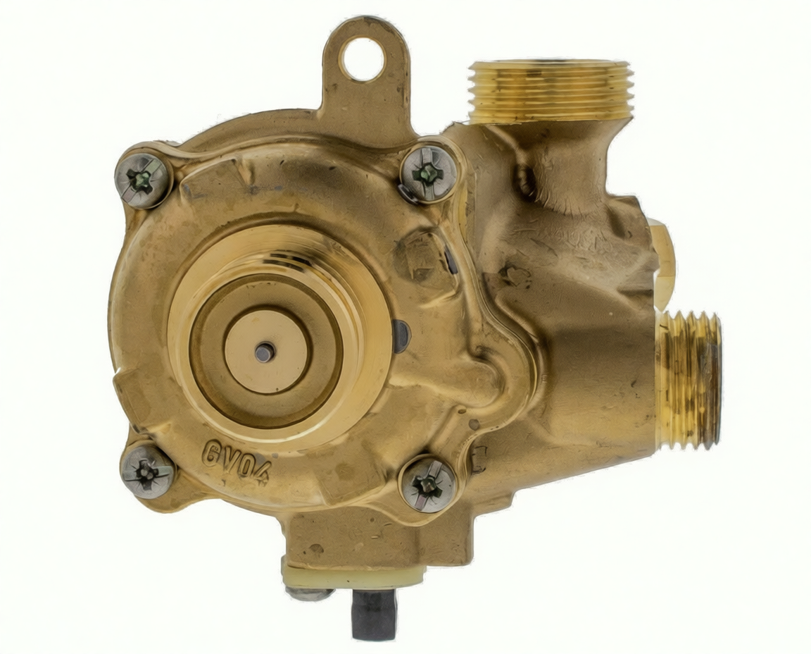 CUERPO AGUA CALENTADOR SAUNIER S12158 - 365.66.0001