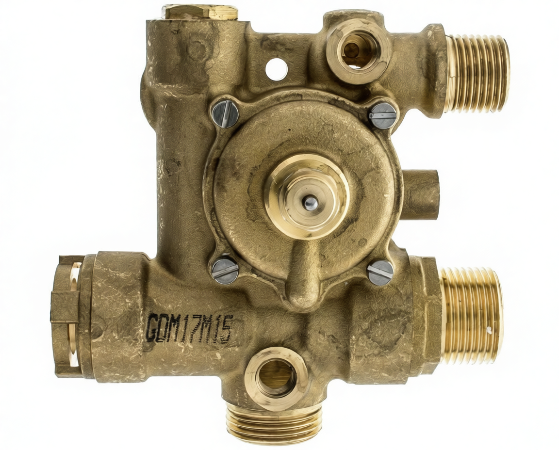 CUERPO AGUA CALDERA BIASI 1141503 - 365.90.0002