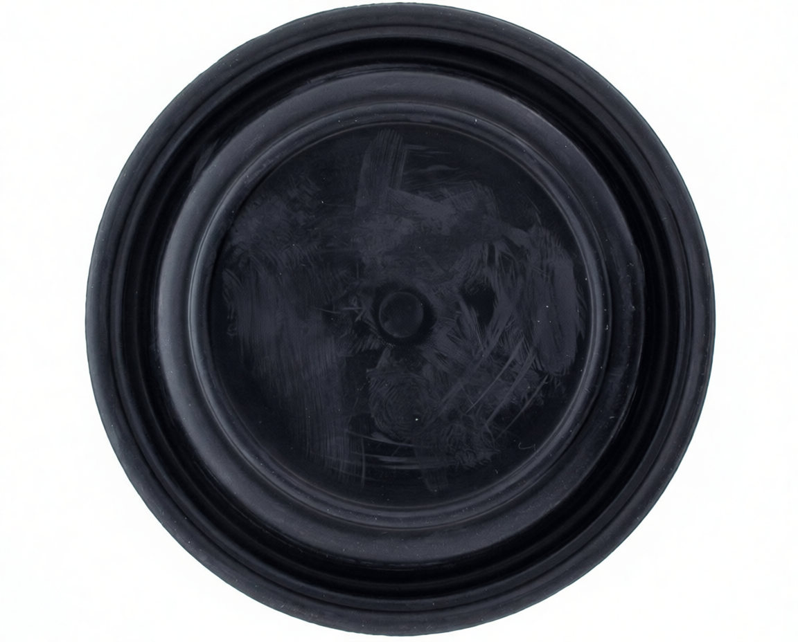 MEMBRANA CALDERA CHAFFOTEAUX 60081016 - 367.31.0025