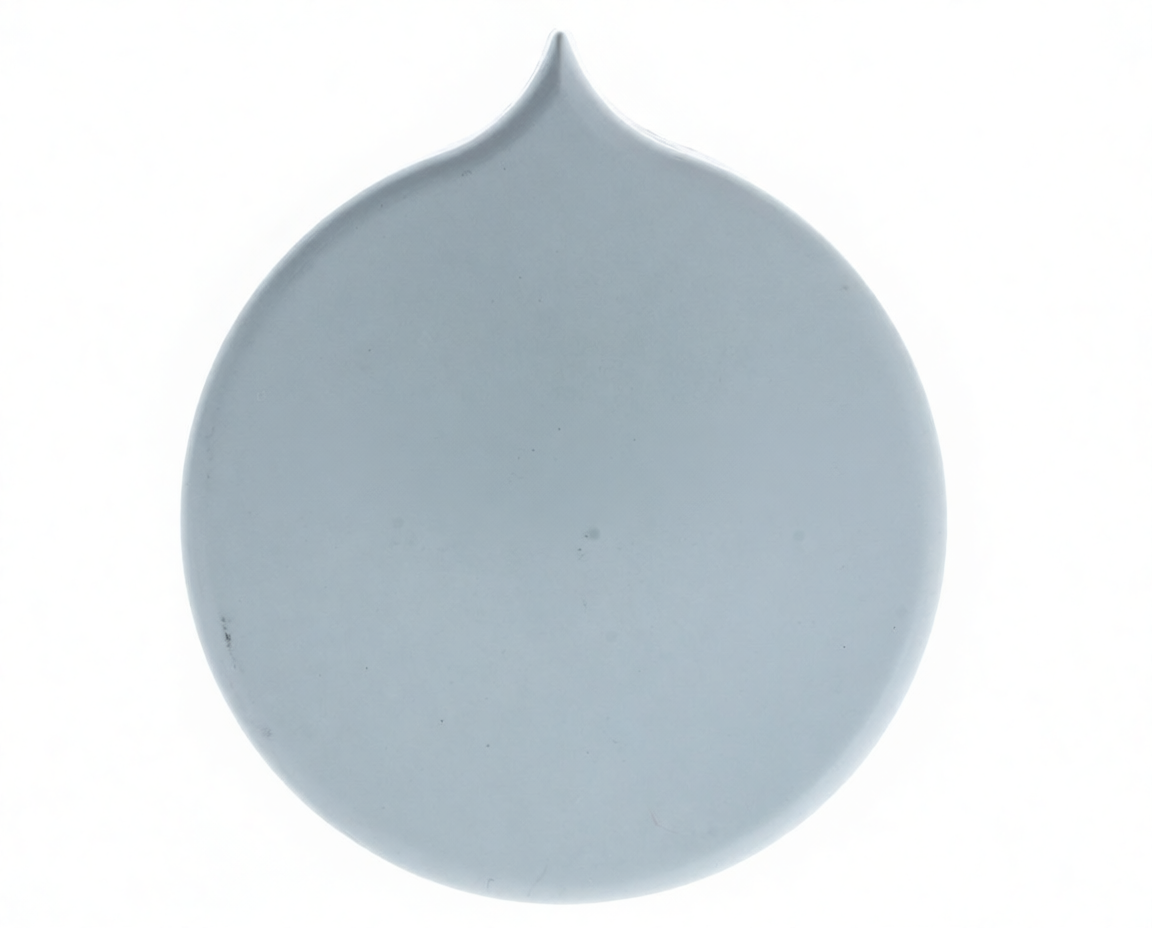 MANDO SELECCIÓN CALDERA CHAFFOTEAUX - 370.31.0004