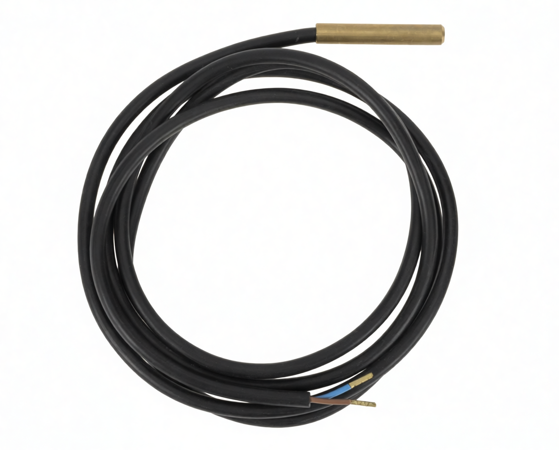 SONDA TEMPERATURA CALDERA LASIAN 55256 - 493.90.0921