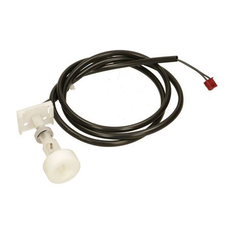 MICROINTERRUPTOR NIVEL BOYA - 9AGF06518